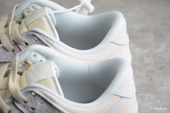 Dunk "Vast Low DD8338-001 Grey" PRM Nike 0124